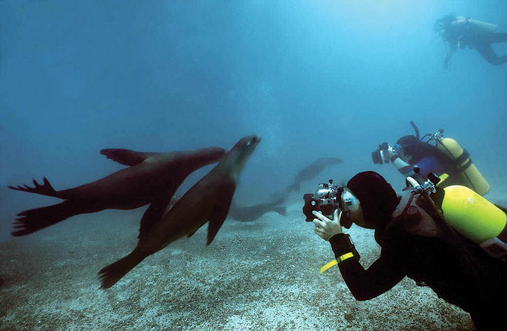 ShutterStock © ShutterStock ©