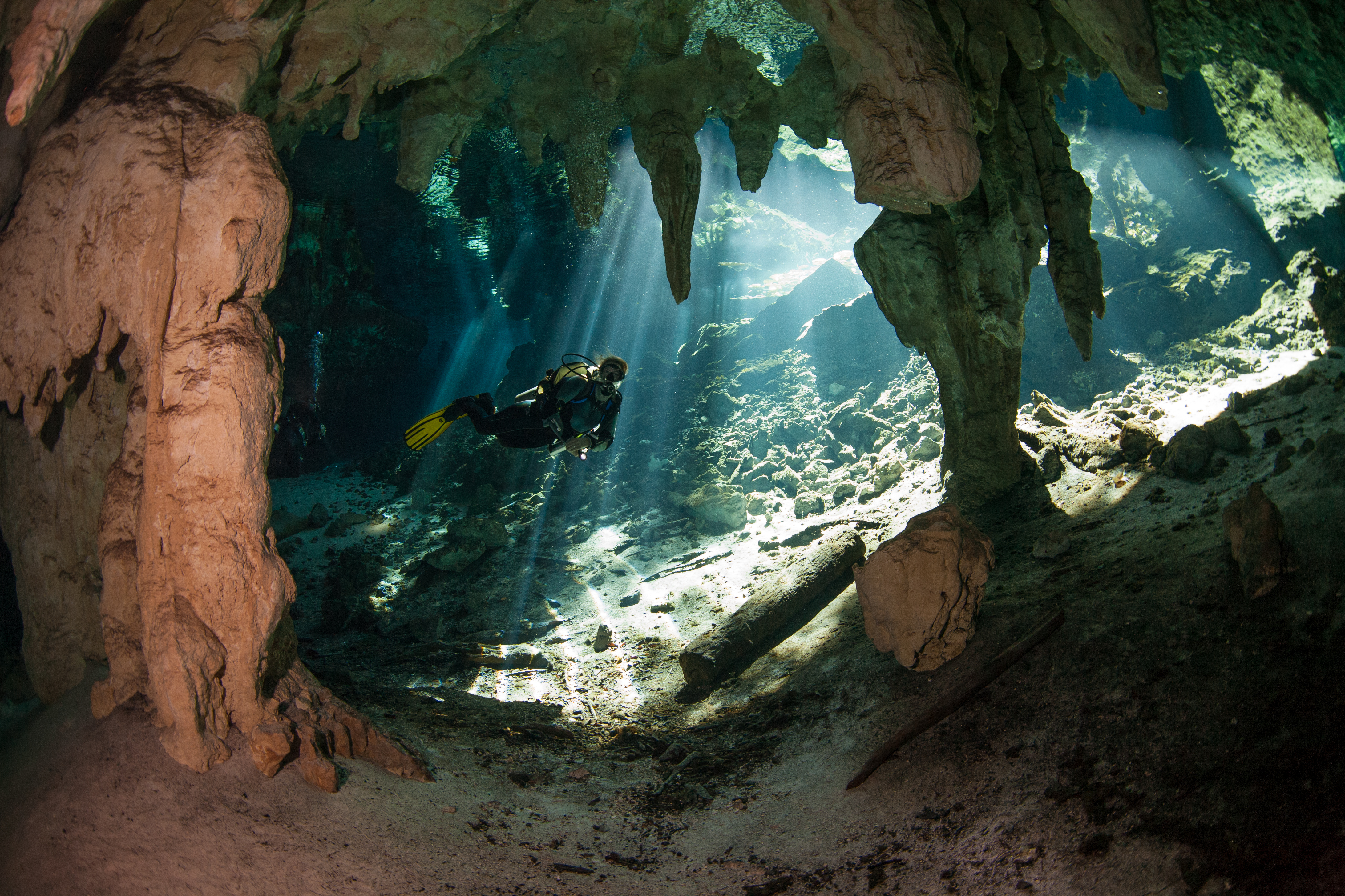 Cave,Diving,In,Cenote Cave,Diving,In,Cenote