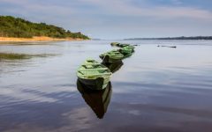 BRA_Amazon shutterstock free