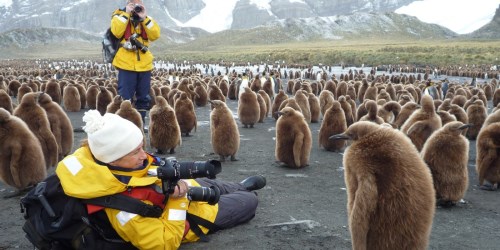 ant02-wildlifewatching-free-silviajones-crop