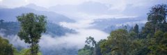 mindo-ecu-mindocloudforest-free-istock-117148605-2-banner