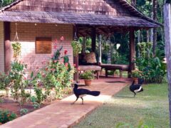 Atta Rainforest Lodge – JC