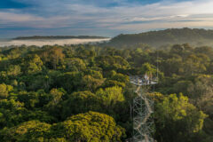 Brazil_Amazon_Cristalino Lodge (49)