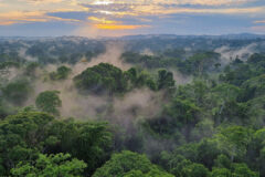 Brazil_Amazon_Cristalino Lodge (73)