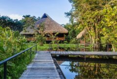 Lodge – Sacha Lodge_11zon