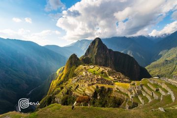 A llama grazing in front of Machu Picchu