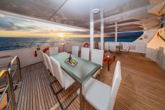 Treasure_of_Galapagos-Shaded-area-UpperDeck-2