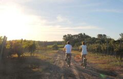 URU_Carmelo_NarbonaWineLodge_HotelOwned_withcreditonly.URU_Carmelo_NarbonaWineLodge_HotelOwned_withcreditonly