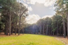 URU_Carmelo_NarbonaWineLodge_HotelOwned_withcreditonly_2