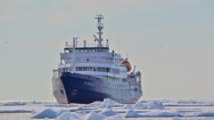 ANT__OCEANWIDEPlancius in pack ice, Spitsbergen_Gerard Regle