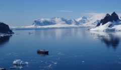 ANT_ortelius in antarctica.png__OCEANWIDE