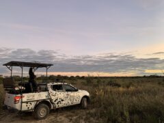 Brazil_Cerrado_Pousada Trijuncao_David Nichols (27)