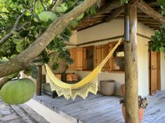 Brazil_Cerrado_Pousada Trijuncao_David Nichols (7)