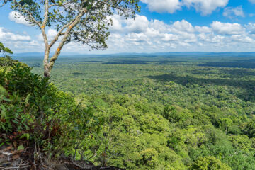 View of Guyana's interior