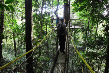 Guyana_Atta Lodge_5_LMF_Nov22 copy