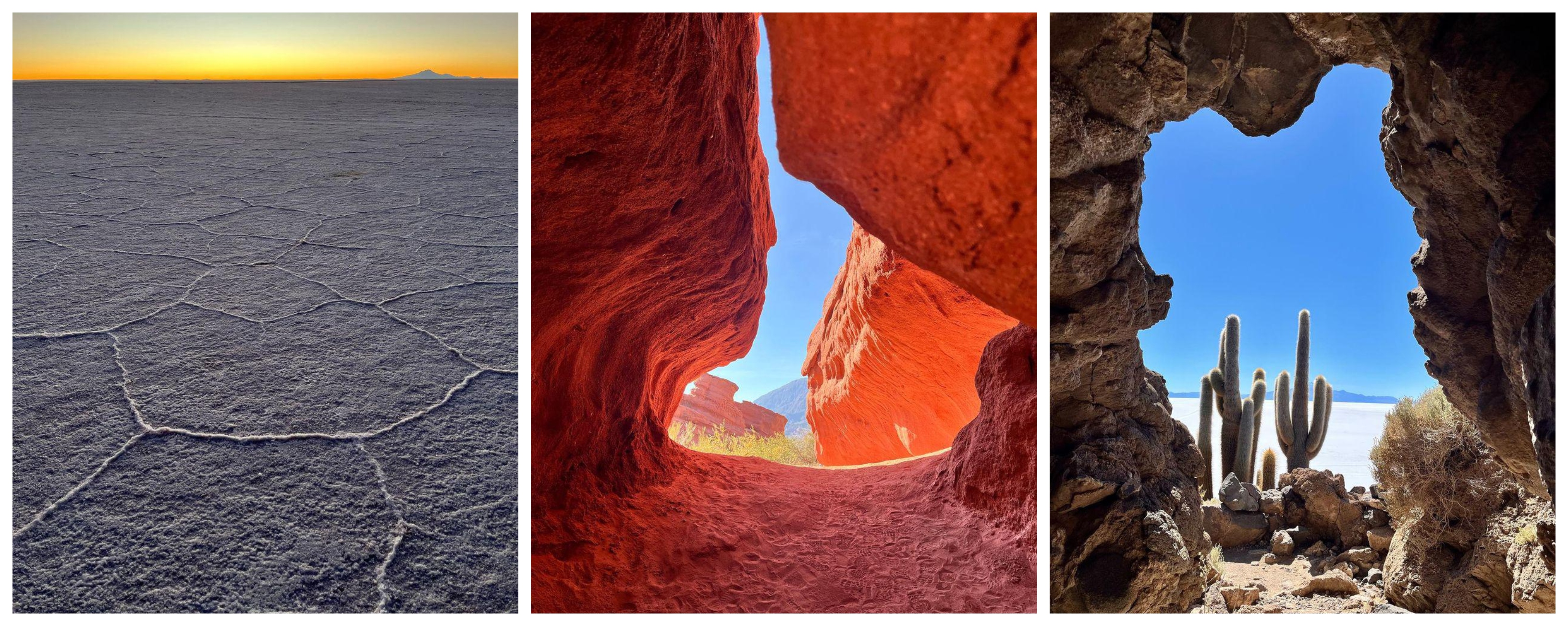 jamiepatoandinocollage