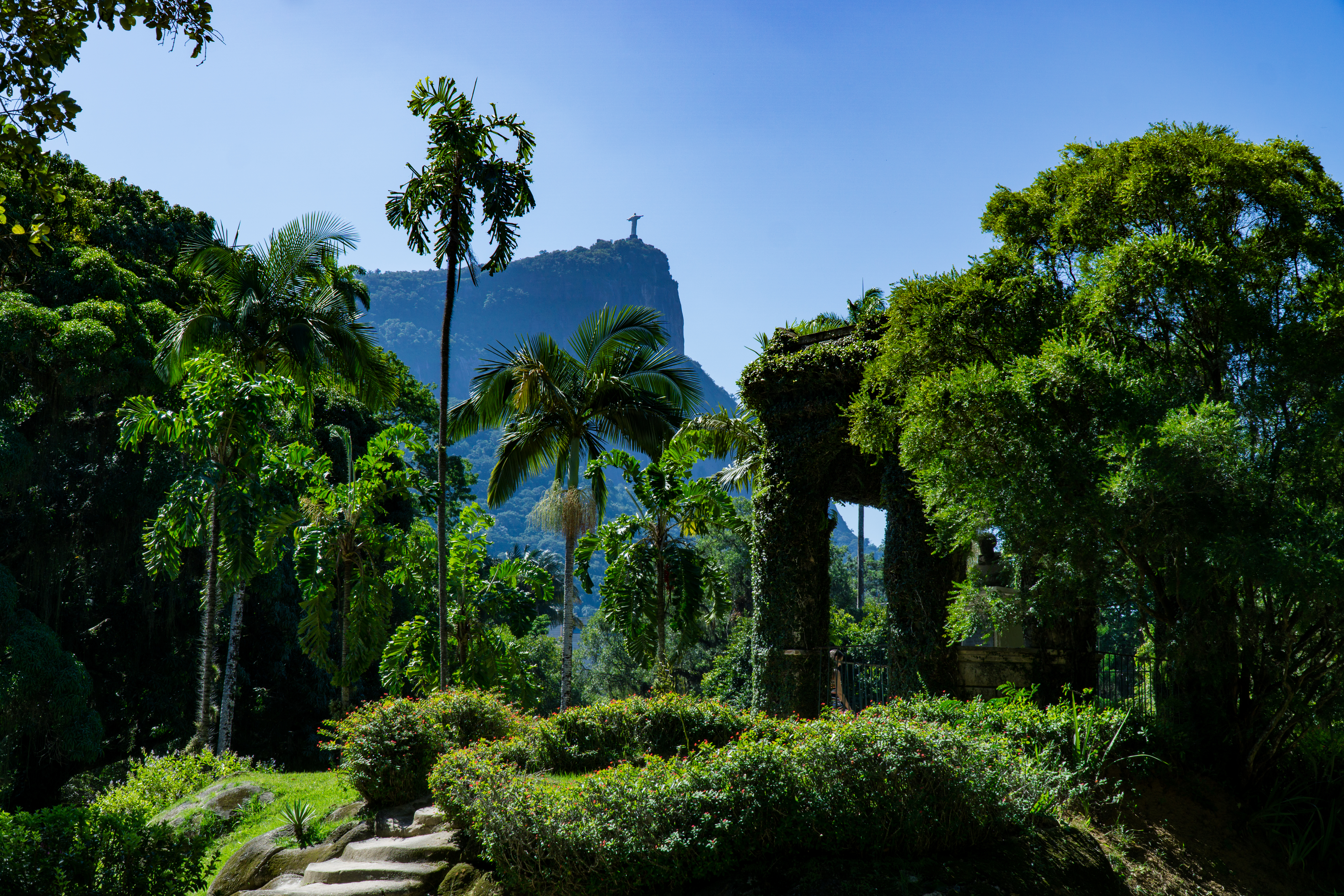 Beautiful Botanic Garden – Rio de Janeiro