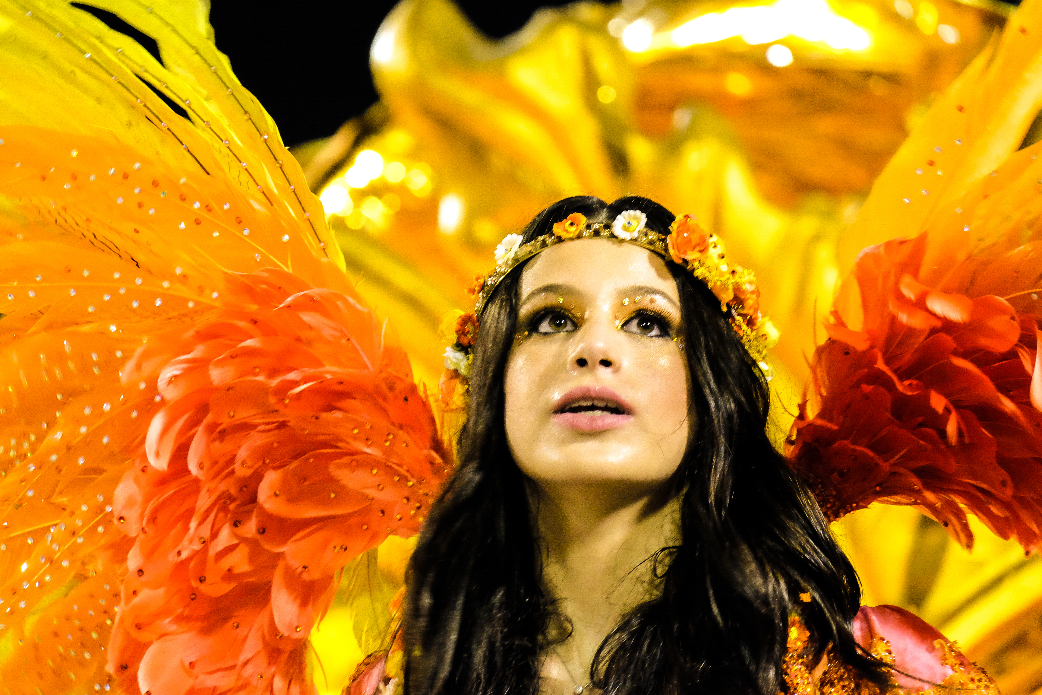 Carnival in Rio