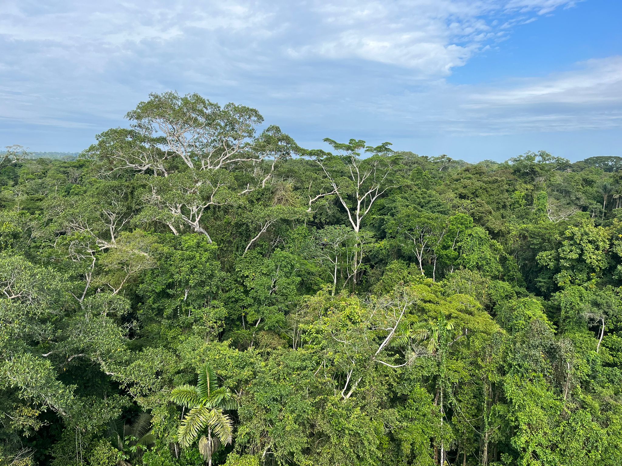 WhatsApp Image 2023-09-19 at 23.10.46 (2)