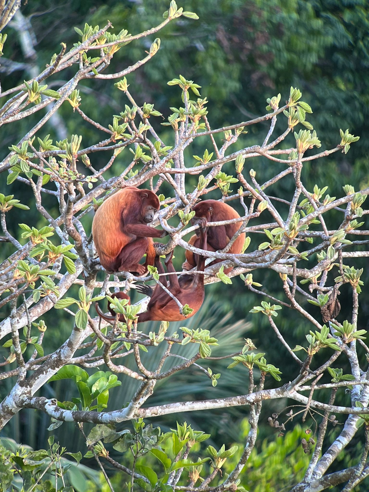 WhatsApp Image 2023-09-19 at 23.10.47 (1)