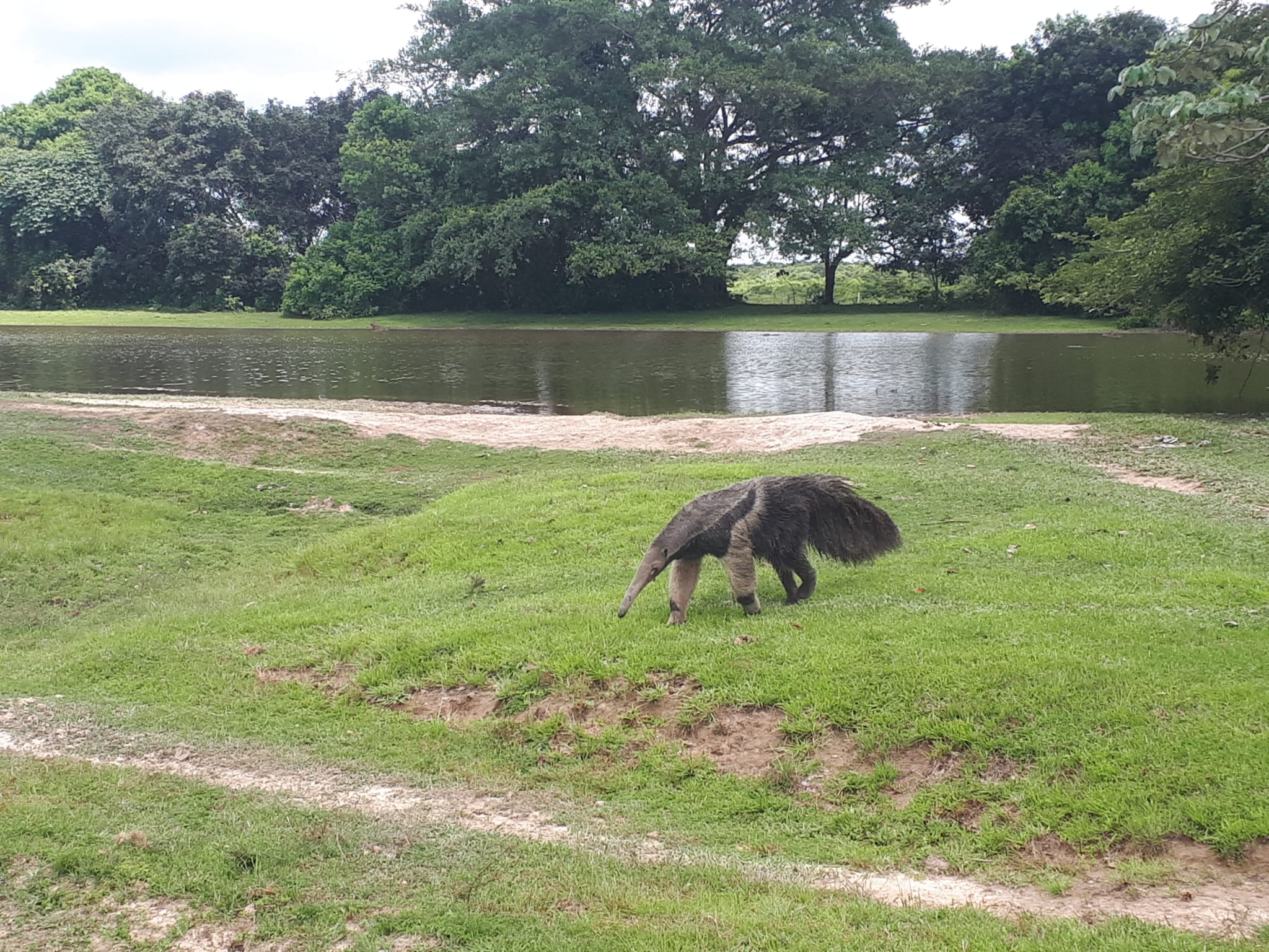 WhatsApp Image 2023-09-27 at 20.03.25