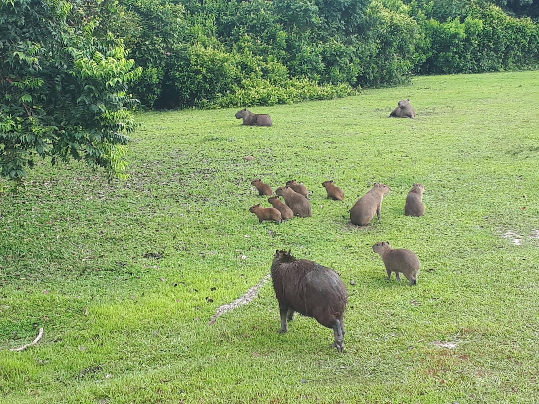 WhatsApp Image 2023-09-27 at 20.03.31