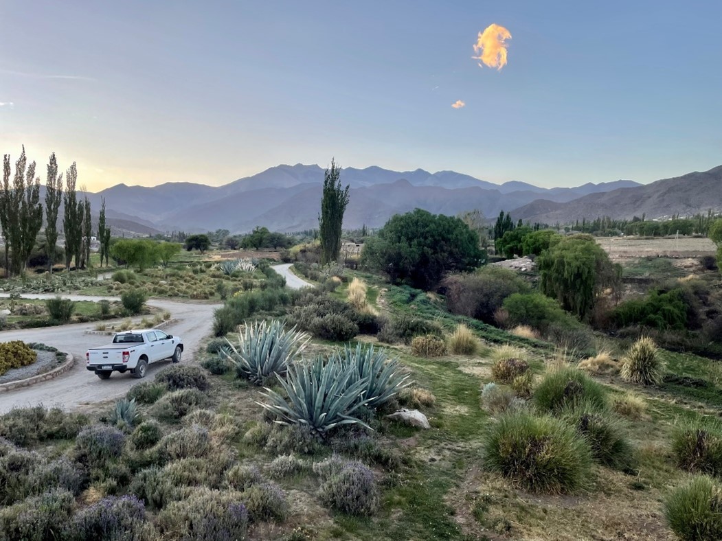 sophietruck sophietruck