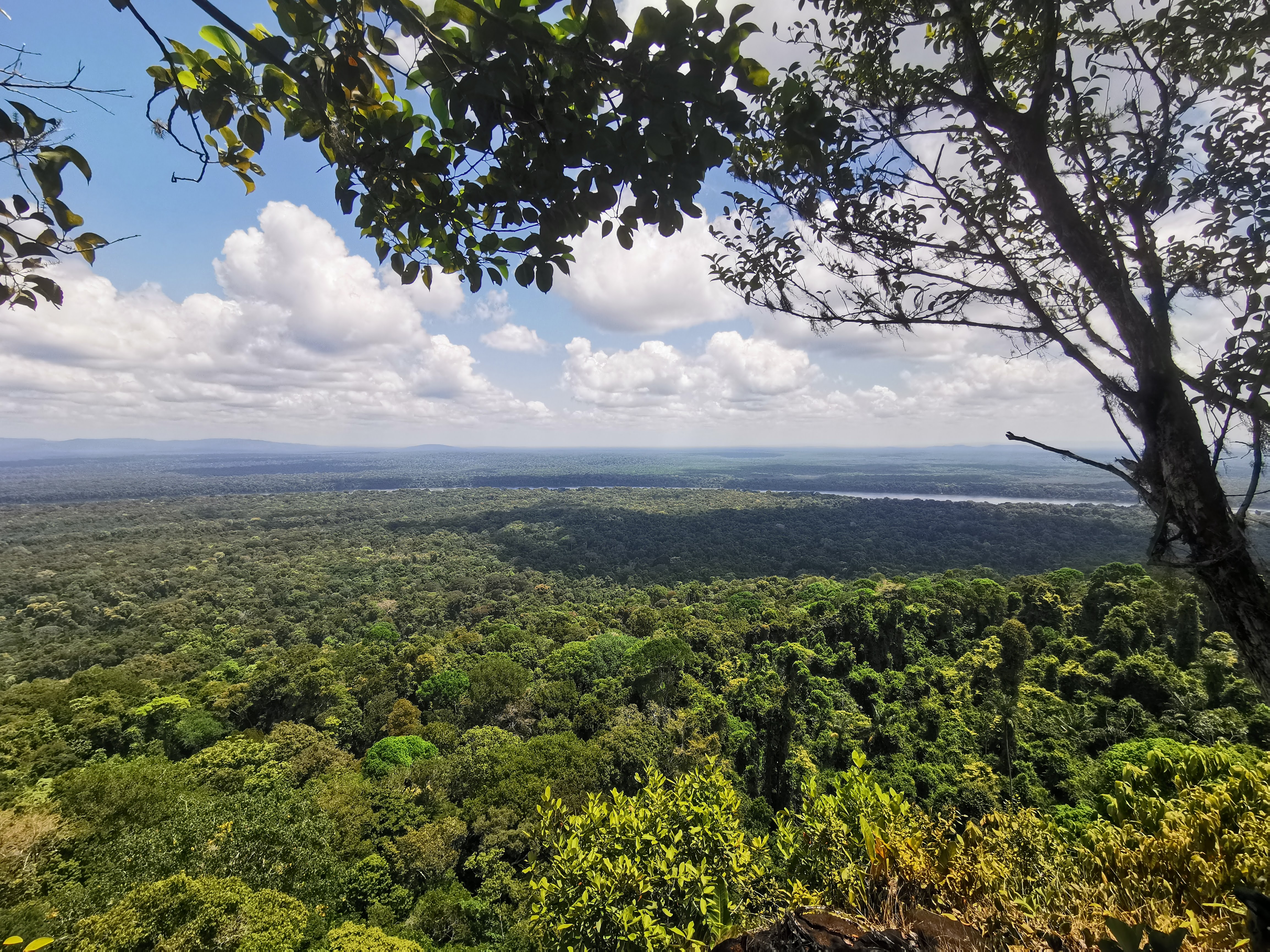 Pristine landscapes, view from Turtle Mountain Iwokrama