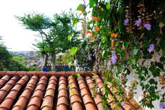 COL_Barichara_LaNubePosada_NEPTUNO_supplier (7)_2_11zon