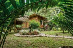 Ecuador – Amazon – Tena – Kuyana Lodge 2_2