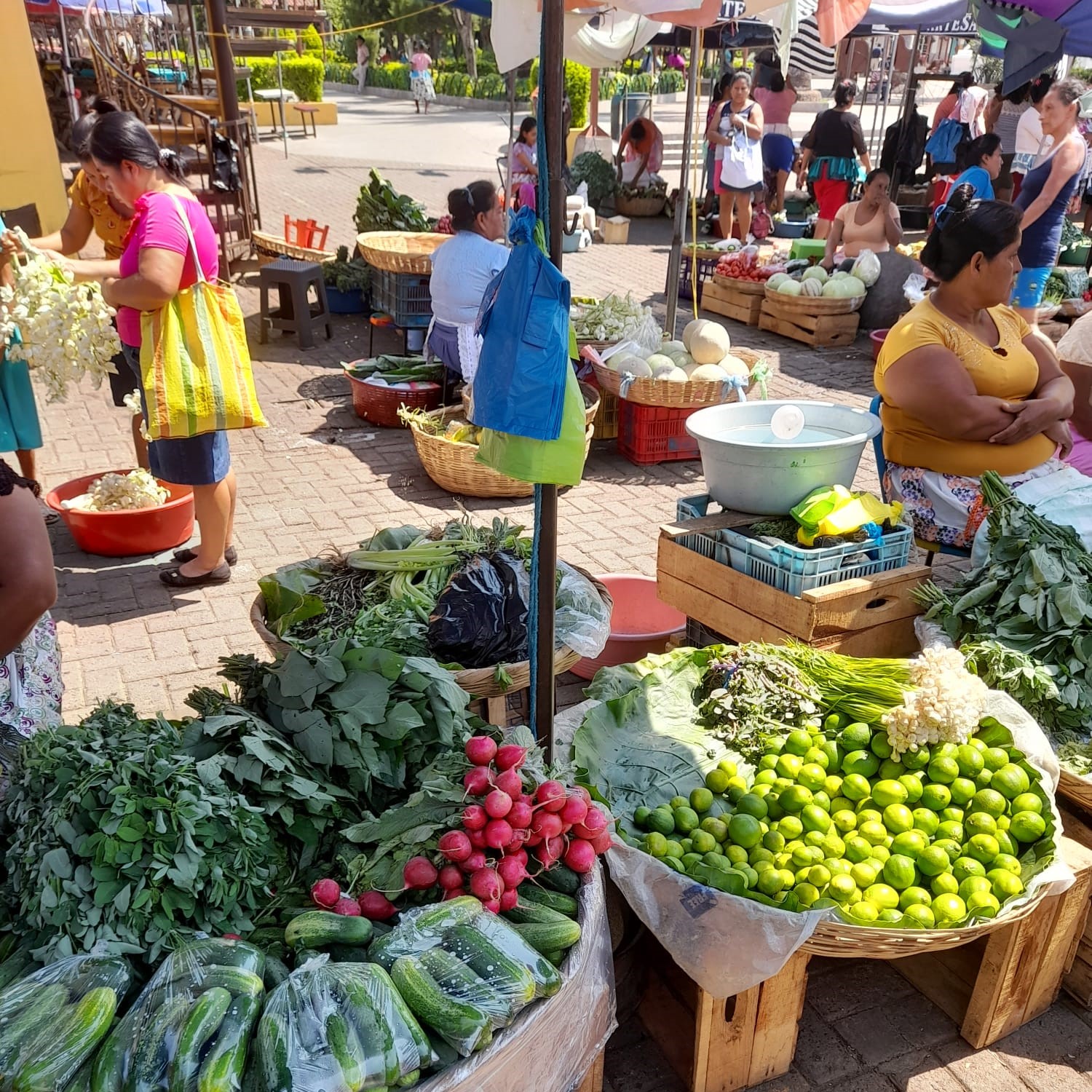 WhatsApp Image 2024-04-24 at 20.49.36 (6)