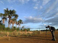 BRA_Trijuncao_savannah_hotelowned