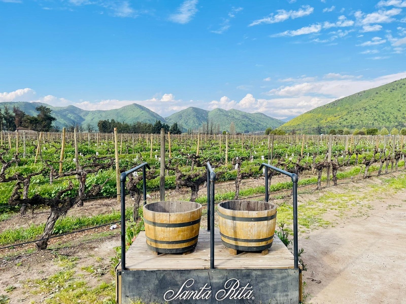 CHI_MaipoValley_Staff_LRD