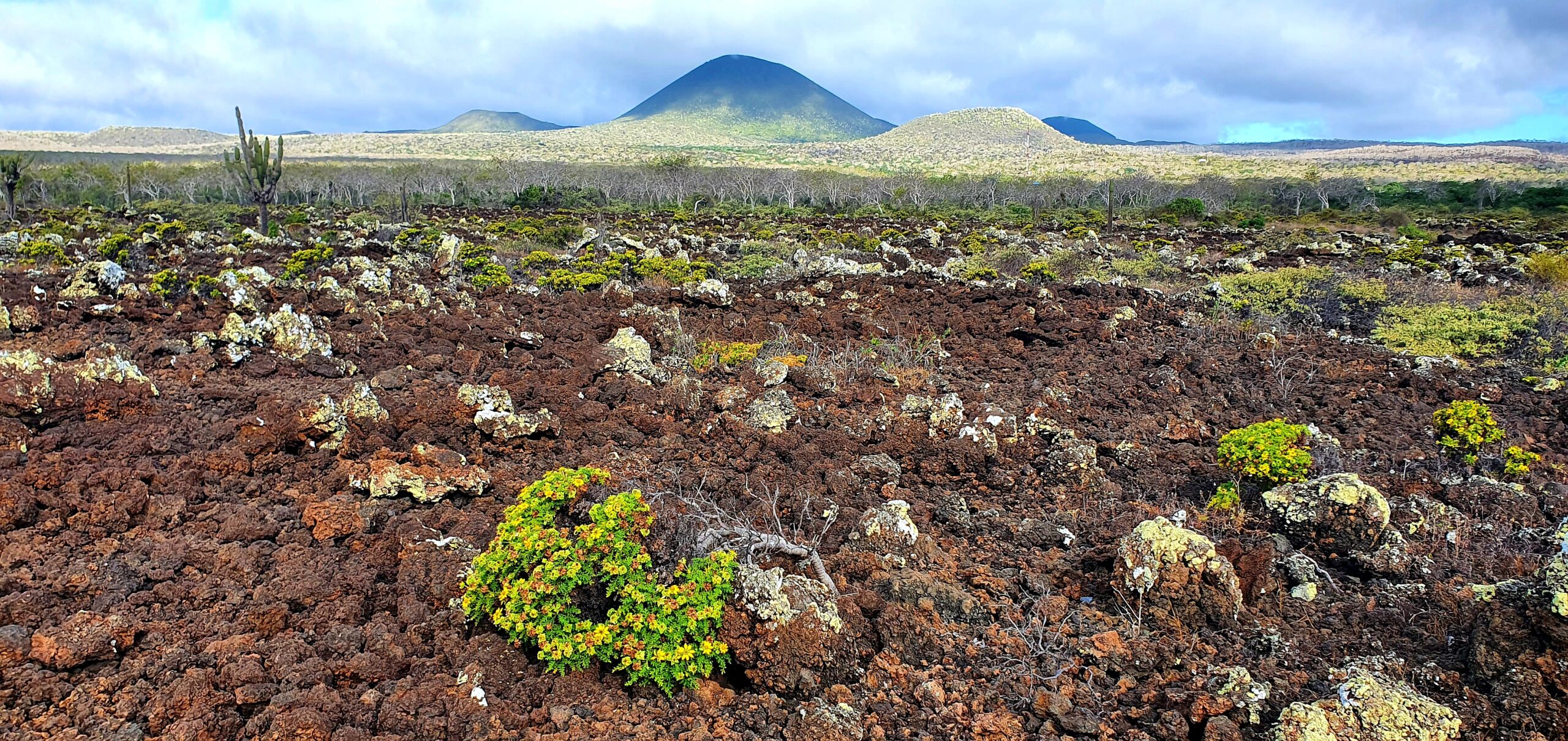 Landscape of Floreana island on the Galapagos.