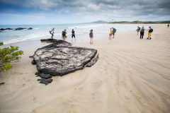 Tourists on a beach in the Galapagos. Picture: Stephanie Foote