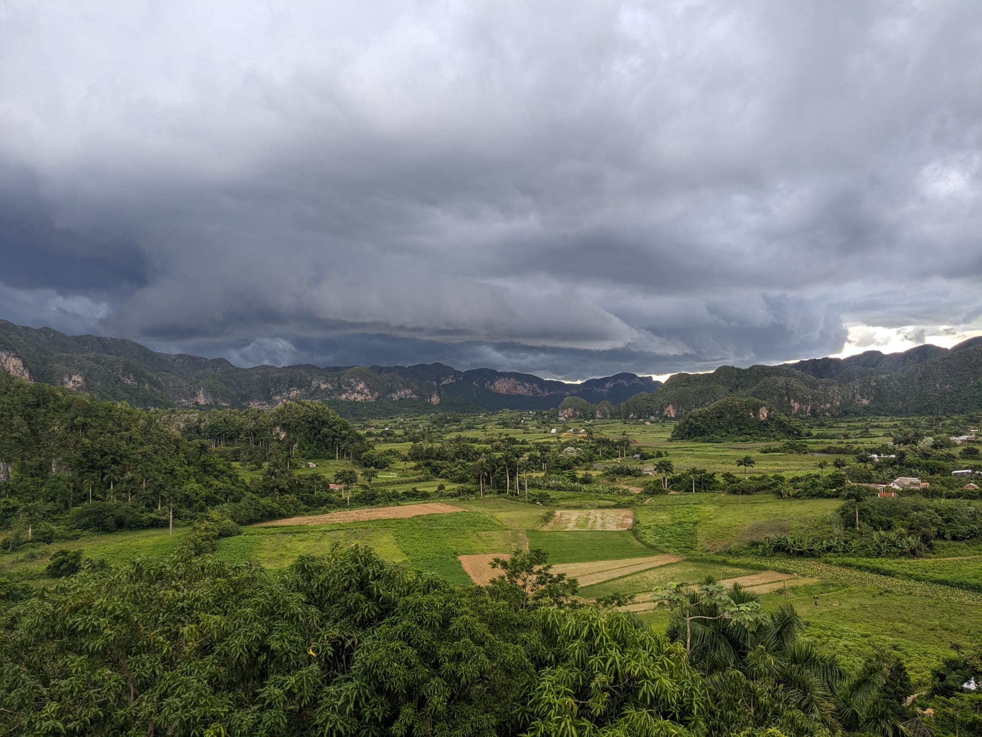 CUB_IMG-20240722-WA0014_GT_staff_Vinales