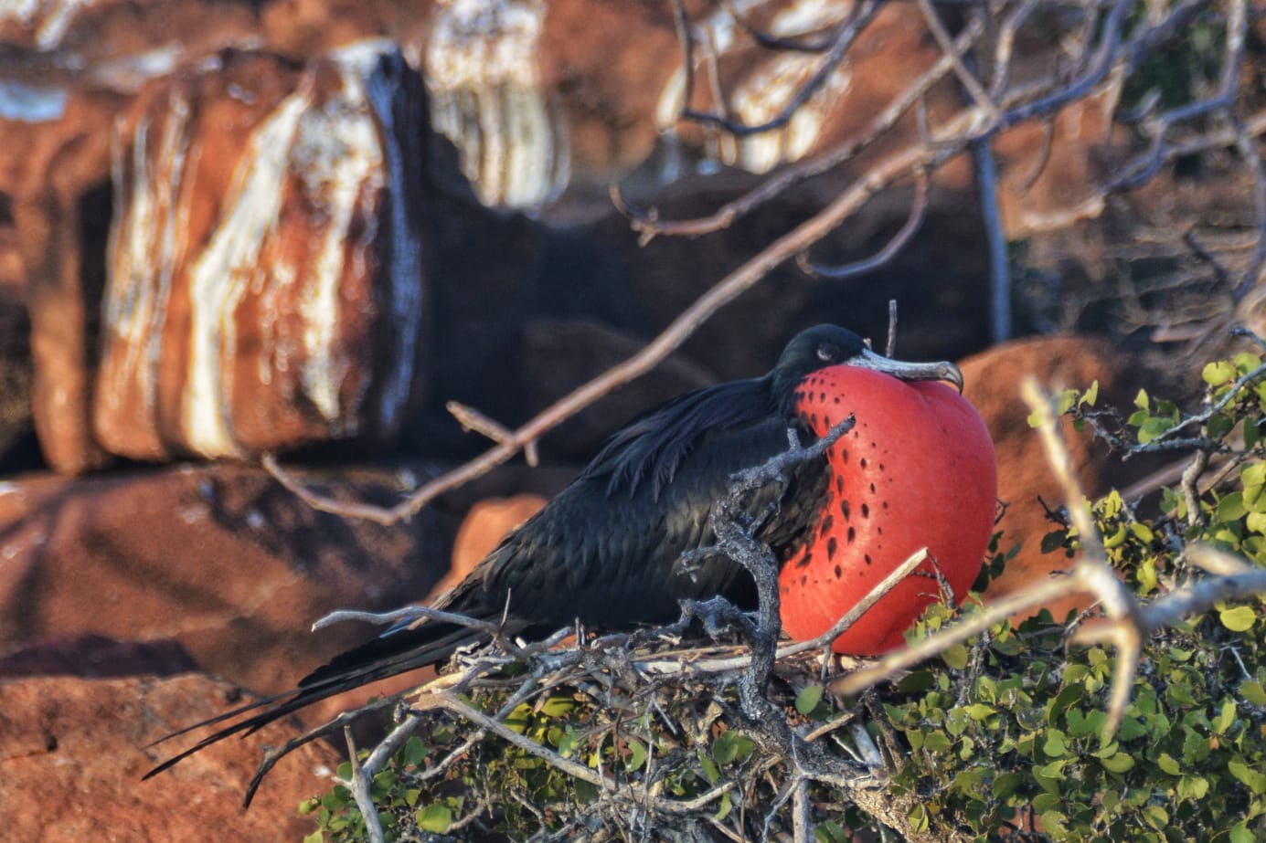 GPS_Staff_IMG-20240923-WA0082_MW