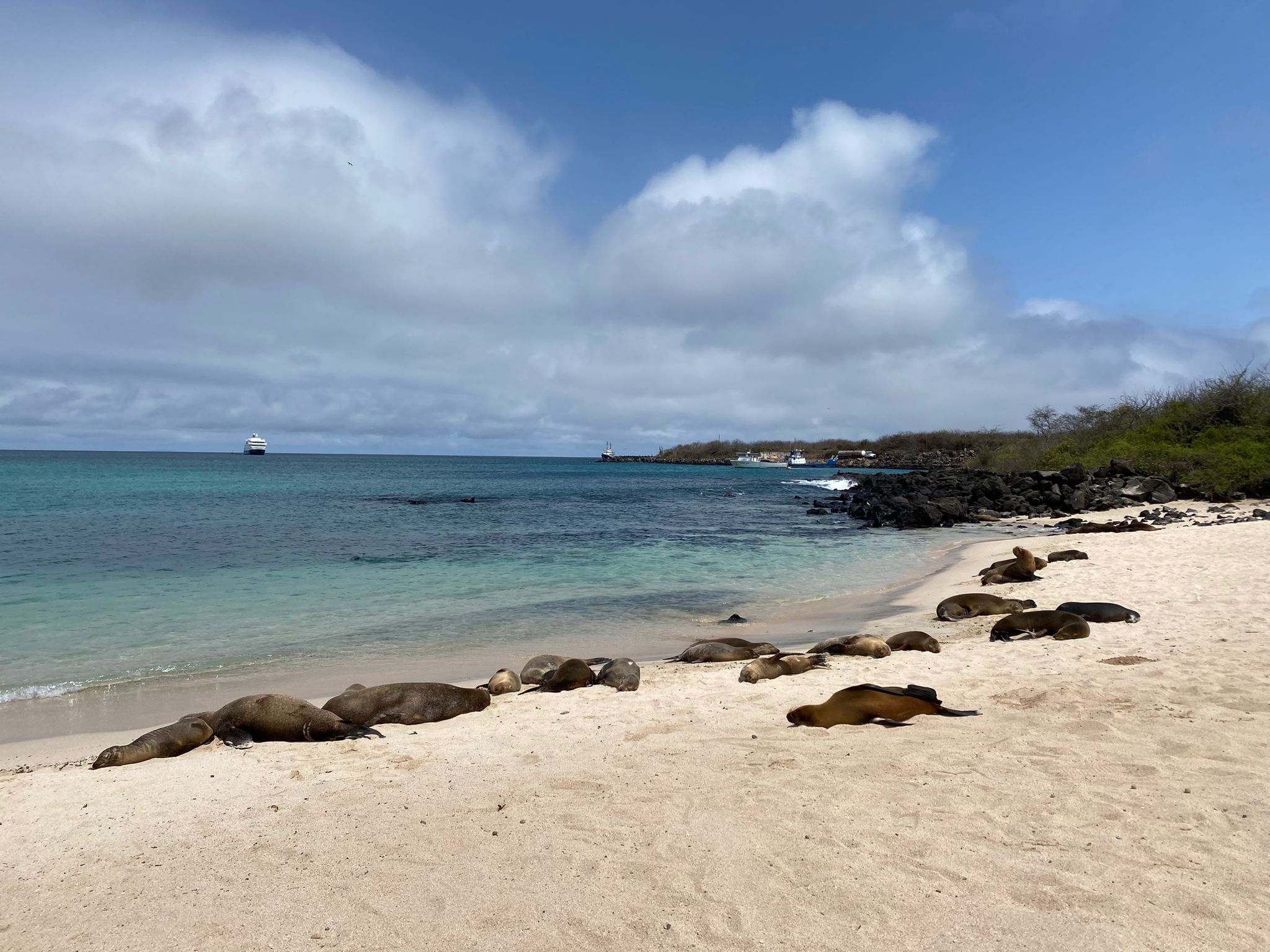 GPS_staff_IMG-20240923-WA0025_SD