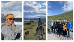 Where our staff have been collage (2)