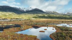 Cape Froward Patagonia, Chile. Photo: Diego Nahuel Diaz