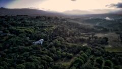 COS_SanJose_FincaRosaBlanca (1)