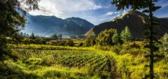 Peru – Sacred Valley – Inkaterra Hacienda Urubamba – farm