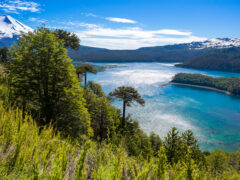 Lake in Conguillio National Park