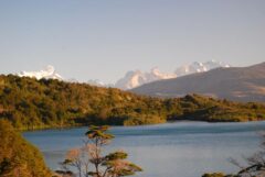 Chile_TorresdelPaineNationalPark_MaryAnneNelson-3