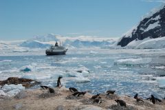 Boat in the ocean taken from Neko Habour beach