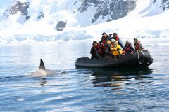 Group on a whale watching trip in Antarctica