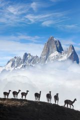 Mount Fitz Roy in Los Glaciares National Park, Patagonia