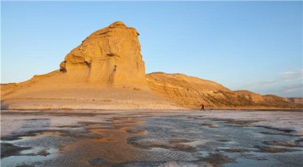 Valdes Peninsula and Puerto Madryn