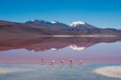 Uyuni Salt Flats