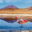 BOL_Uyuni_LagunaColorada_Flamingo_ShutterStock_crop